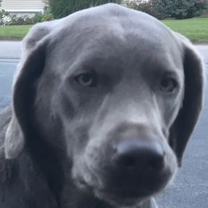 Meet your Posher, Matt